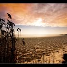 Winter am Balaton