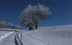 Winter am Balmberg