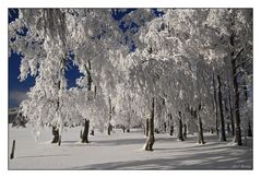 Winter am Berg