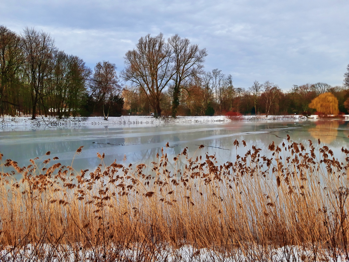 Winter am Berger See in Gelsenkirchen - Februar 2021