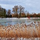 Winter am Berger See in Gelsenkirchen - Februar 2021