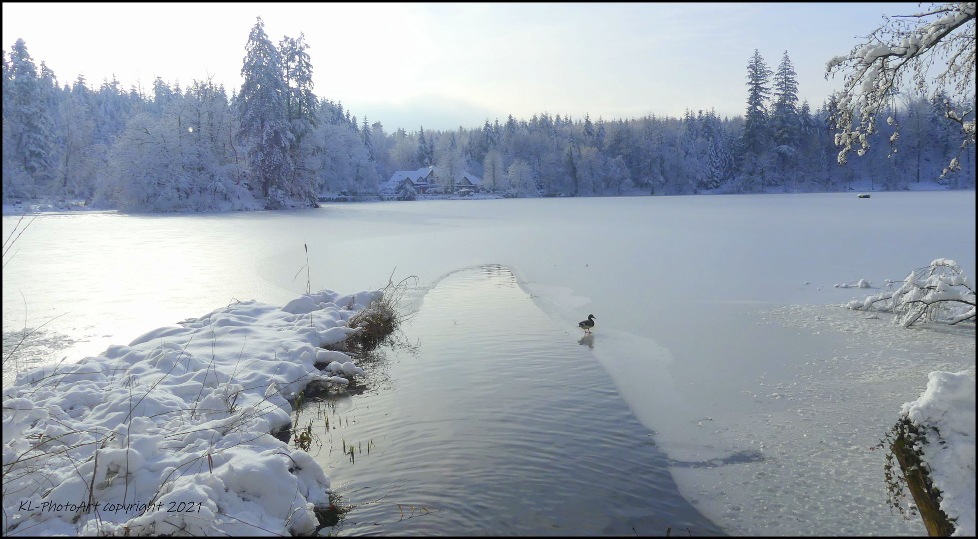 Winter am Bergsee