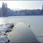 Winter am Bergsee