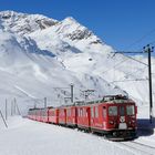 Winter am Bernina