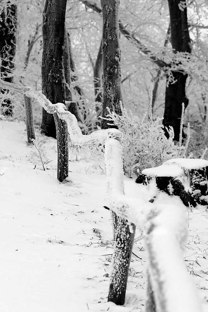 Winter am Bilsteinturm