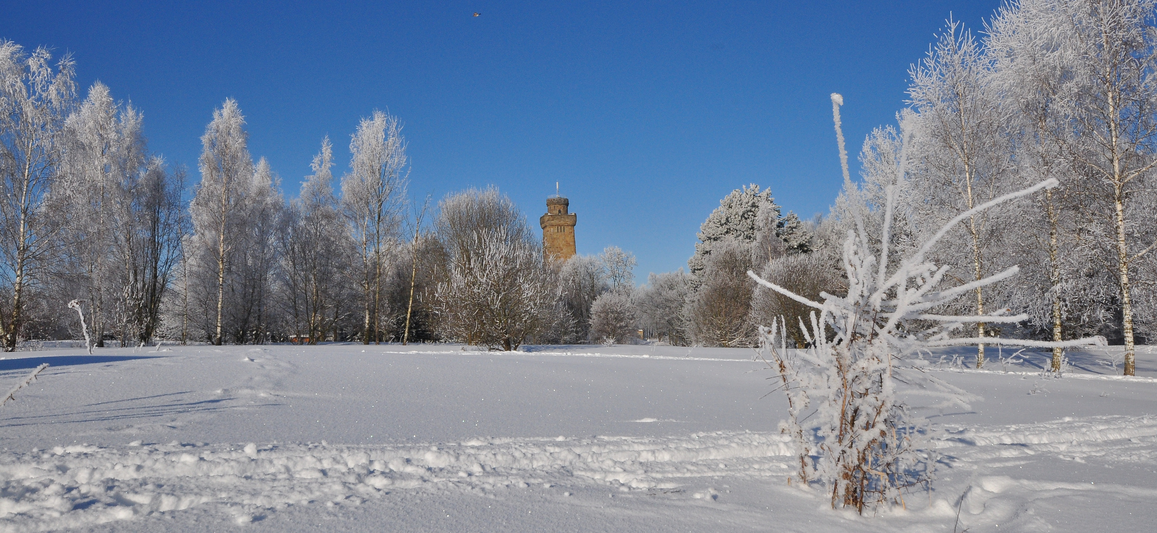 Winter am Bismarckturm......