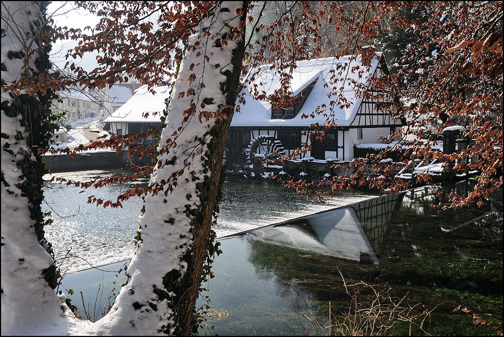 Winter am Blautopf 