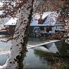 Winter am Blautopf 