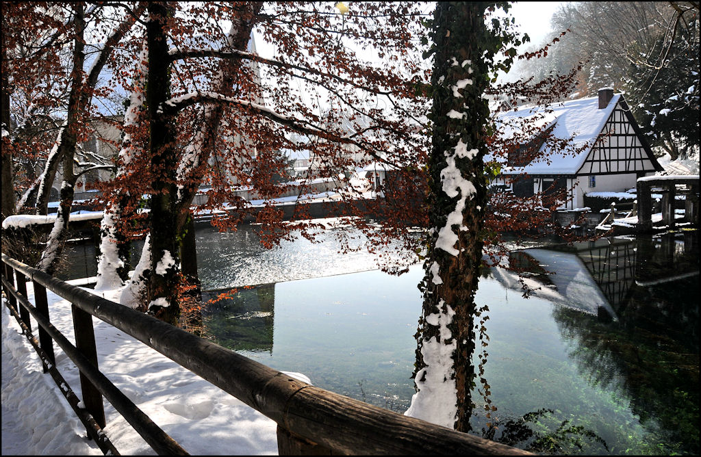 Winter am Blautopf