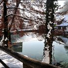 Winter am Blautopf