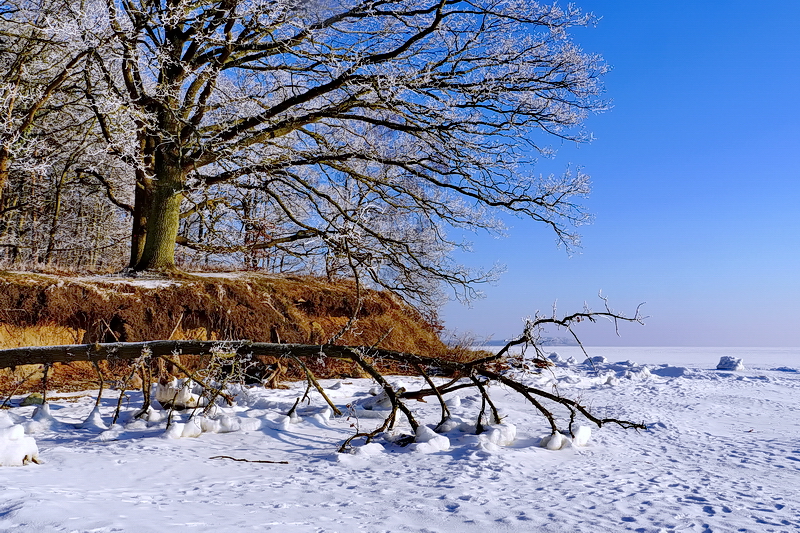 Winter am Bodden...