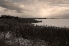 Winter am Bodden