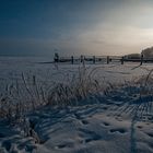 Winter am Bodden