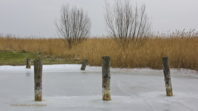 WINTER AM BODDEN