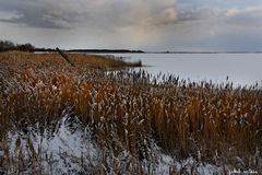 winter am Bodden