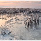 Winter am Bodden