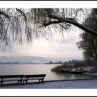 Winter am Bodensee (1)