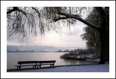 Winter am Bodensee (1)