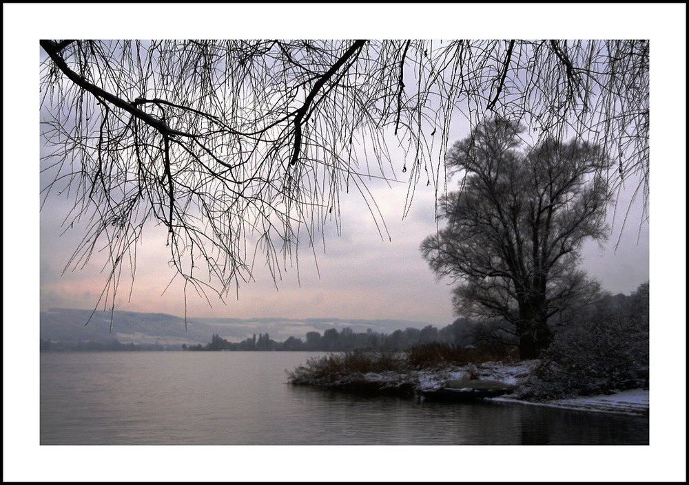 Winter am Bodensee (2)