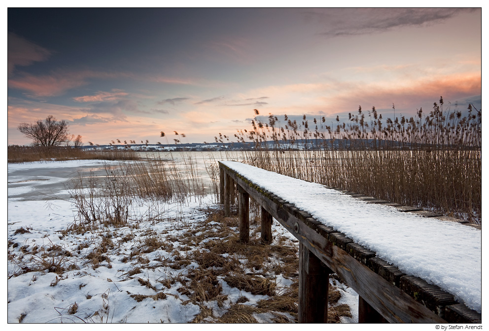 Winter am Bodensee