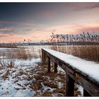 Winter am Bodensee