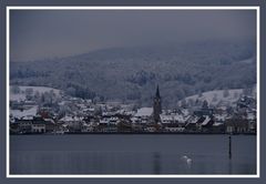 Winter am Bodensee (4)