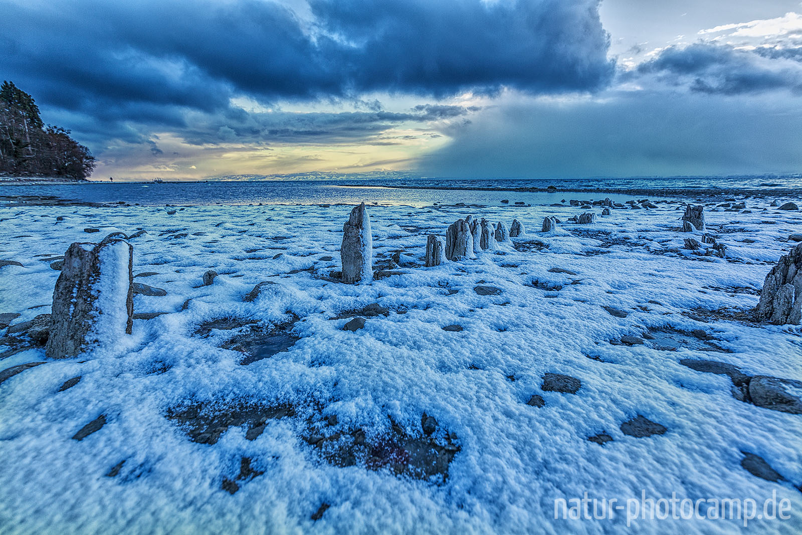 Winter am Bodensee