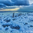 Winter am Bodensee