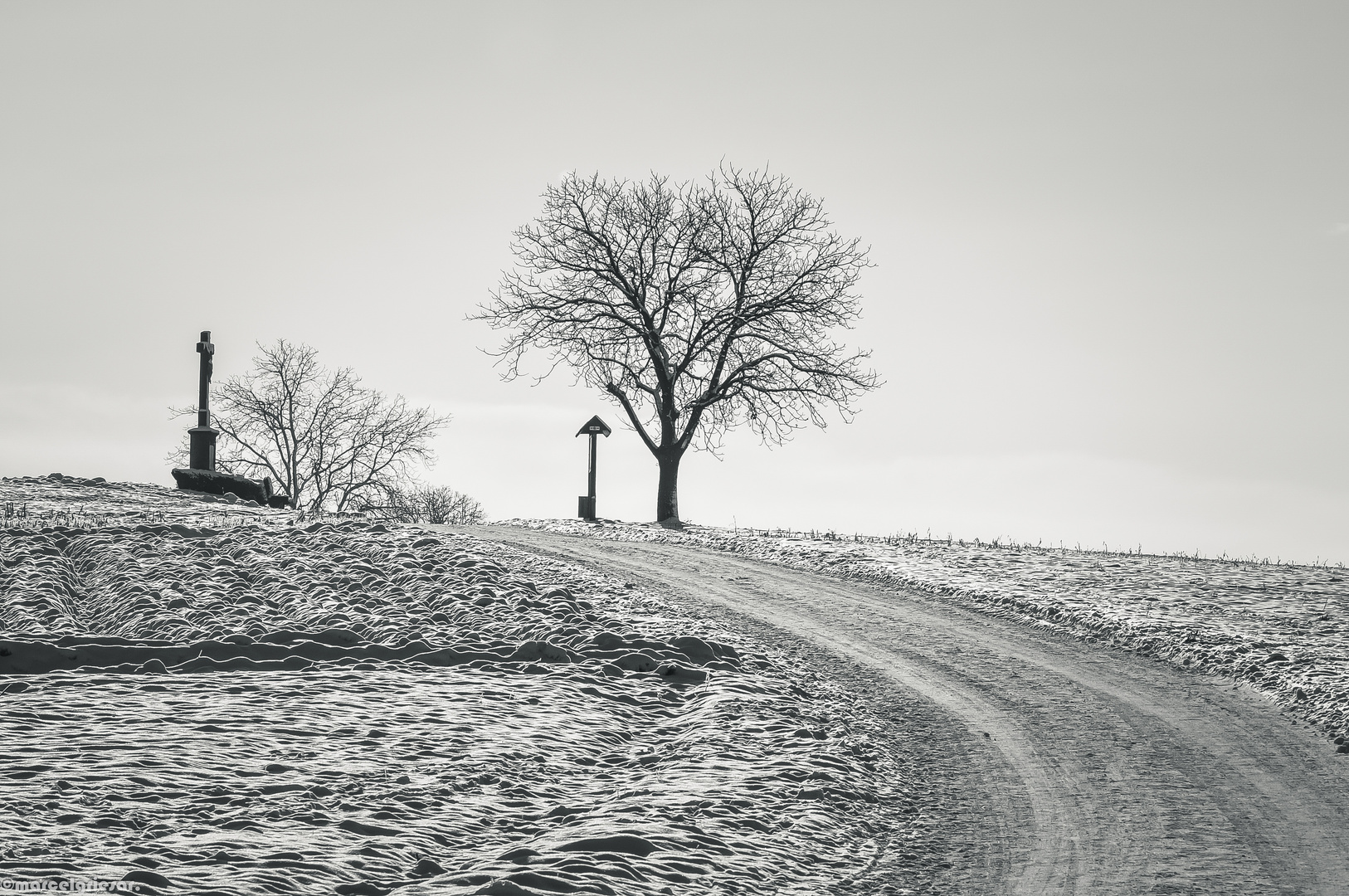 Winter am Bodensee