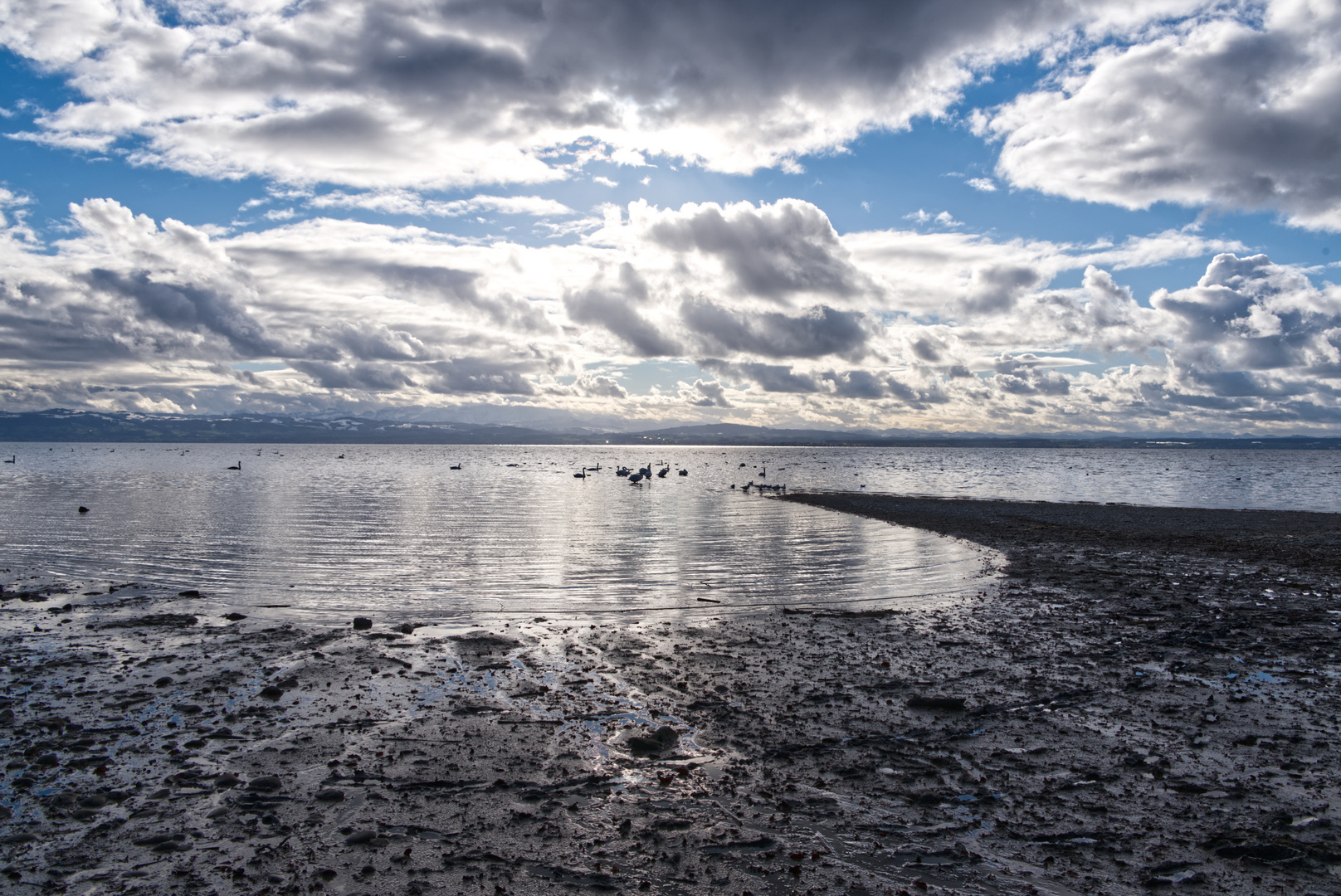 Winter am Bodensee