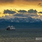 Winter am Bodensee