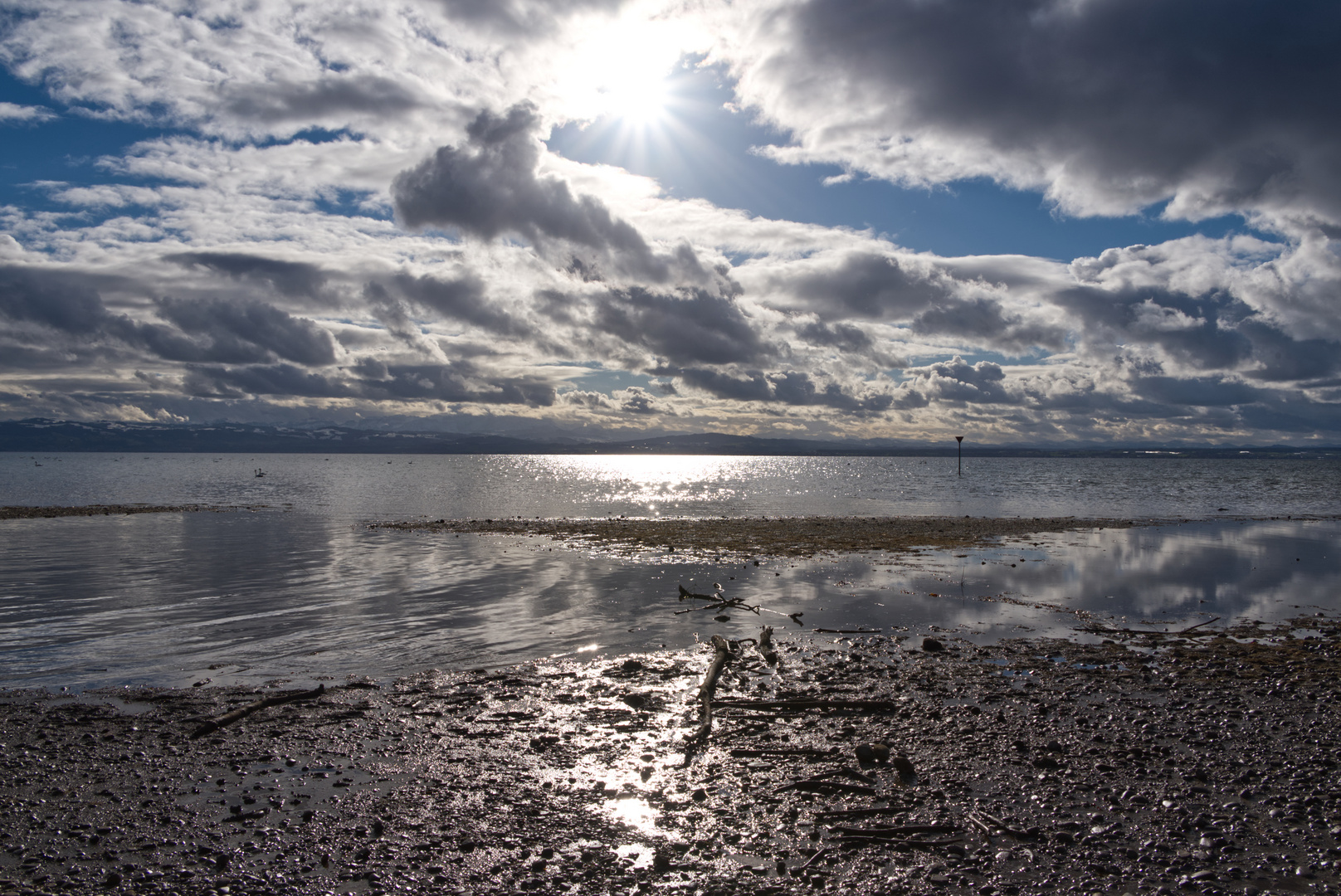 Winter am Bodensee