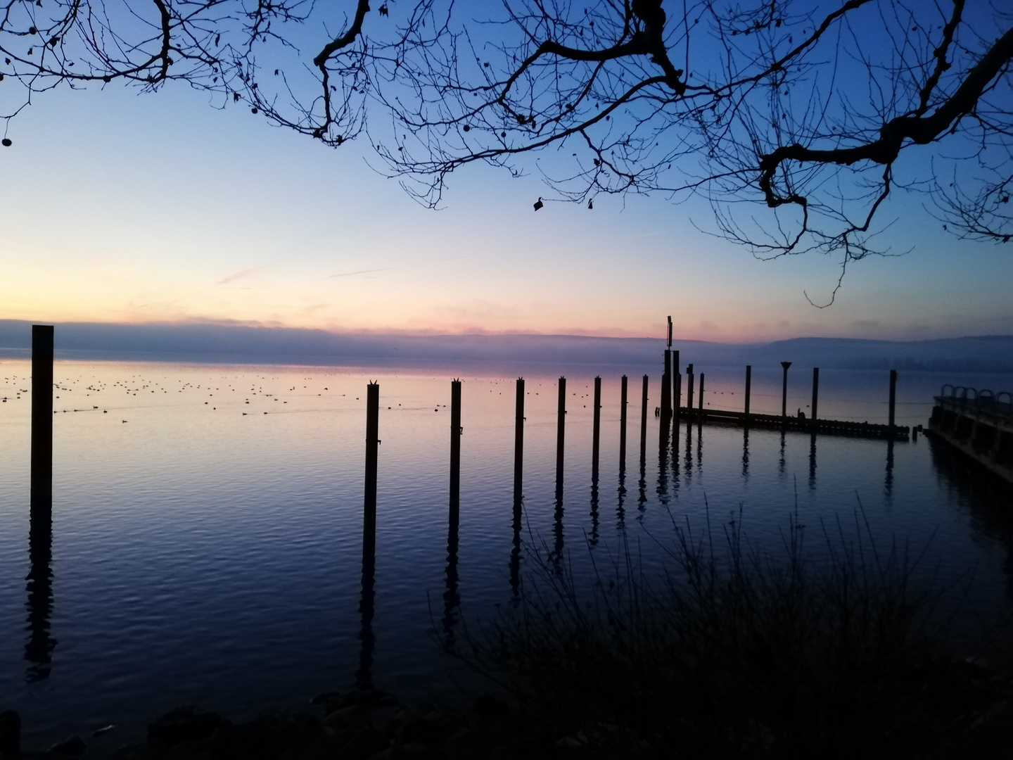 Winter am Bodensee