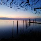 Winter am Bodensee