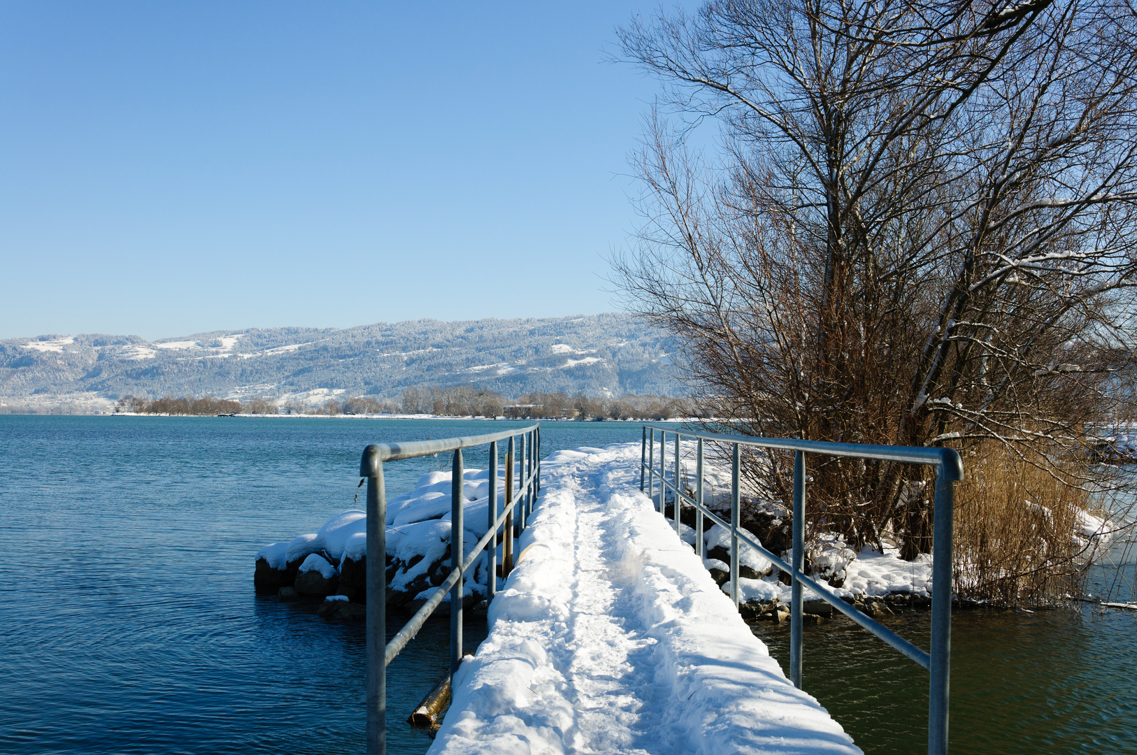 Winter am Bodensee