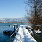 Winter am Bodensee