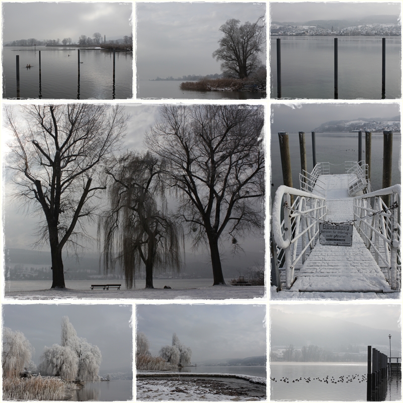 Winter am Bodensee