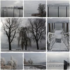 Winter am Bodensee