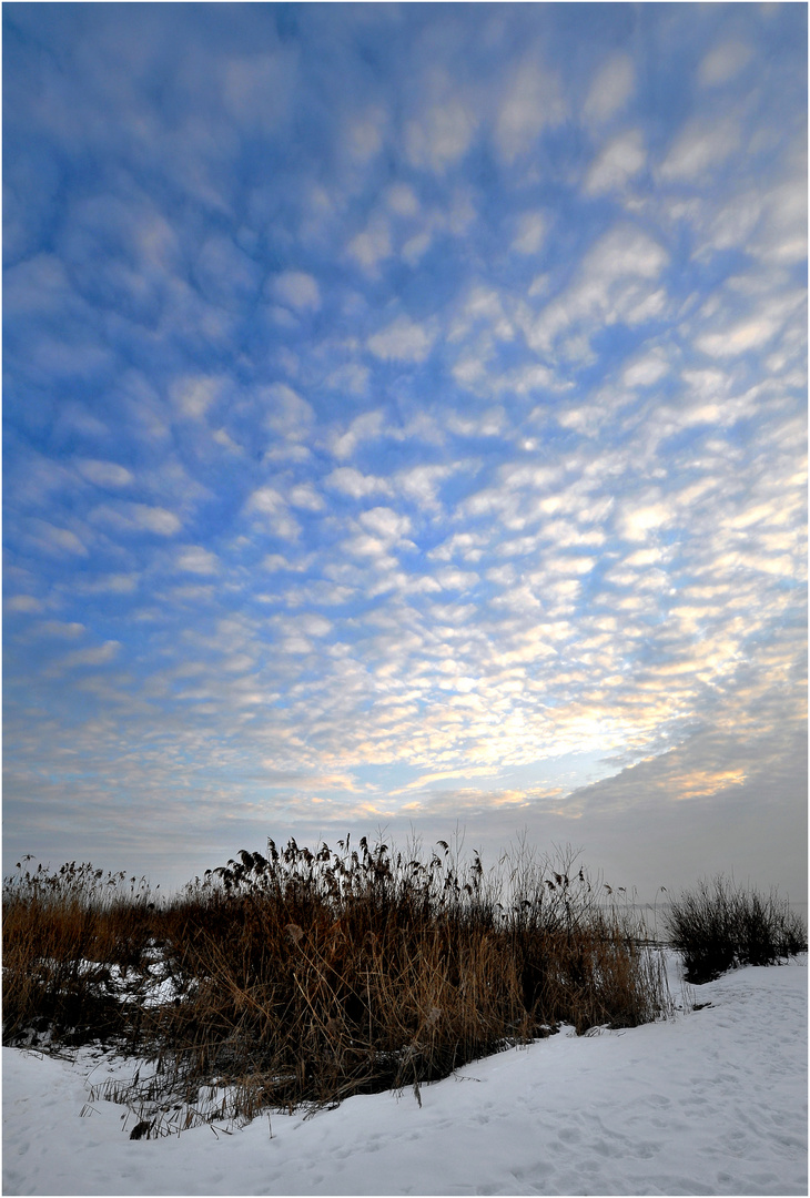 Winter am Bodensee