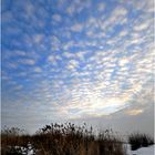 Winter am Bodensee