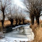 Winter am Bodensee