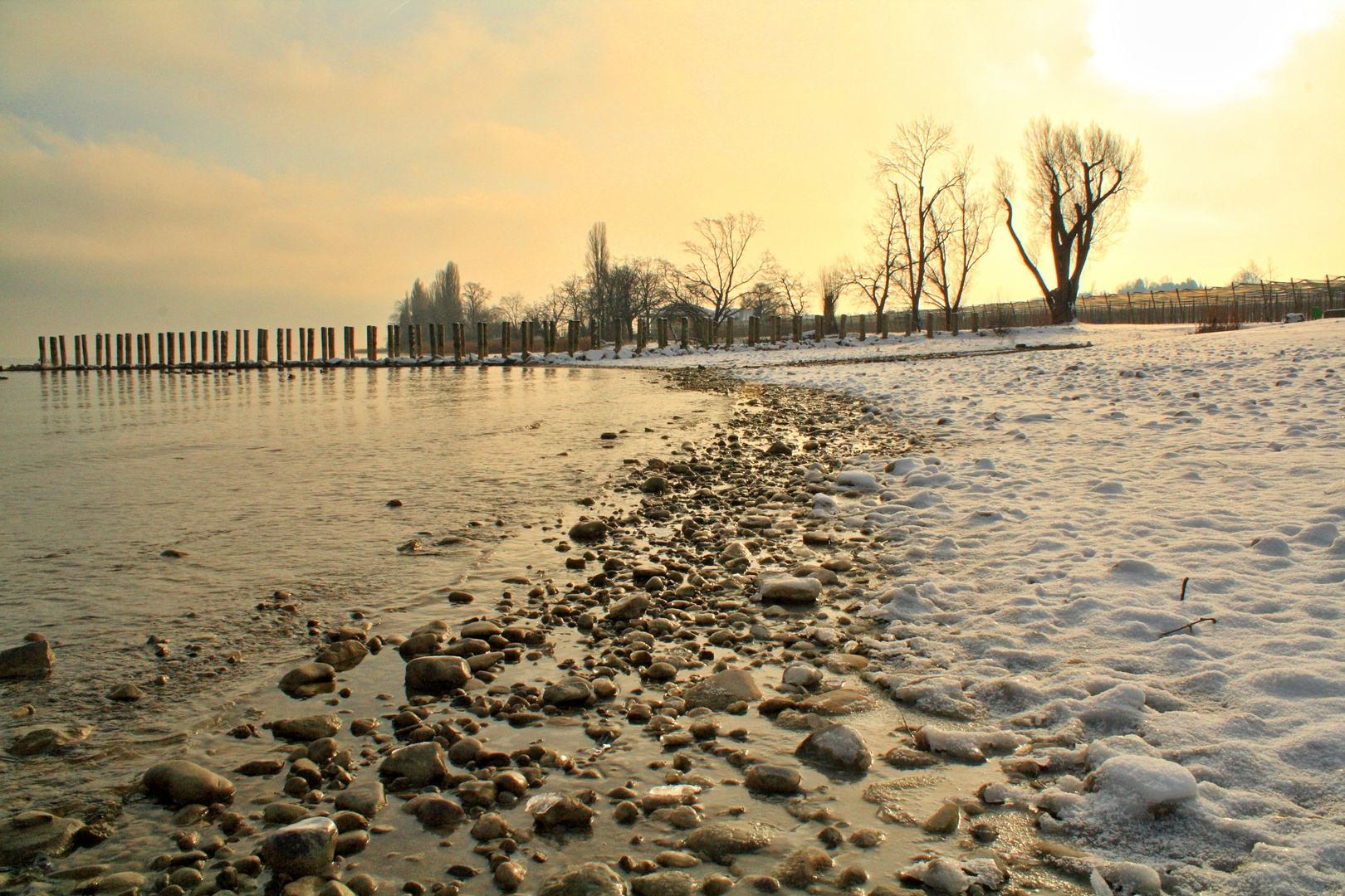 Winter am Bodensee