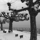 Winter am Bodensee