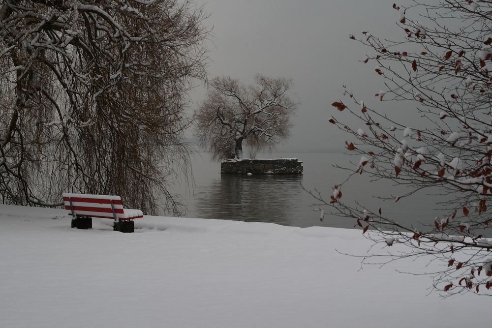 Winter am Bodensee