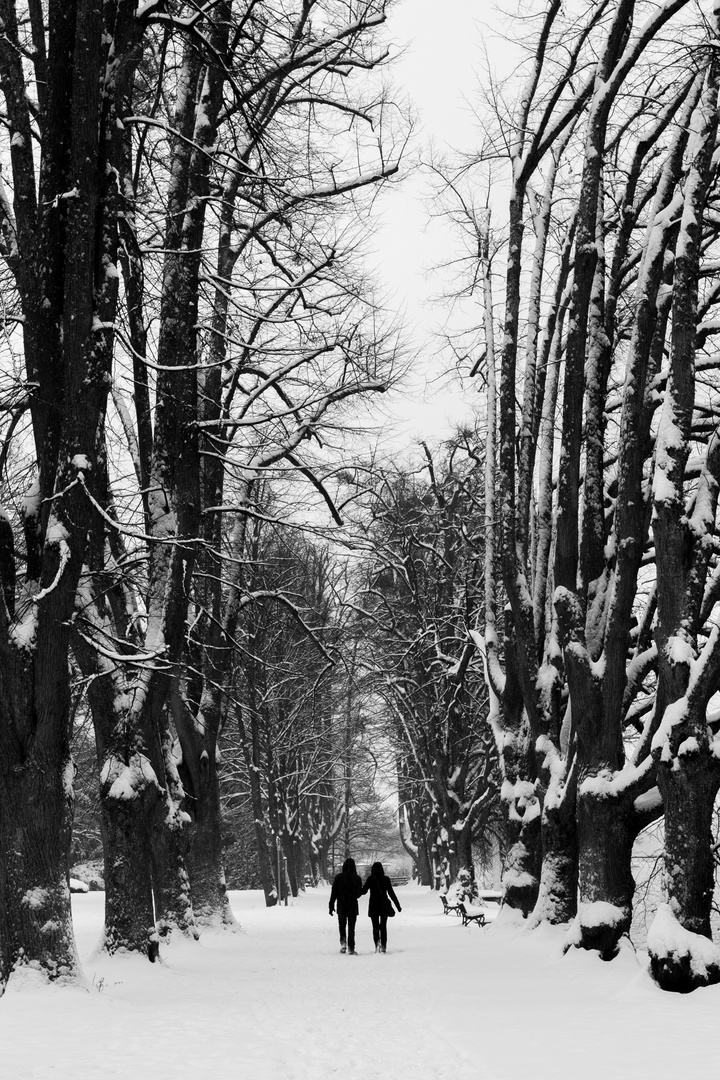 Winter am Bodensee III