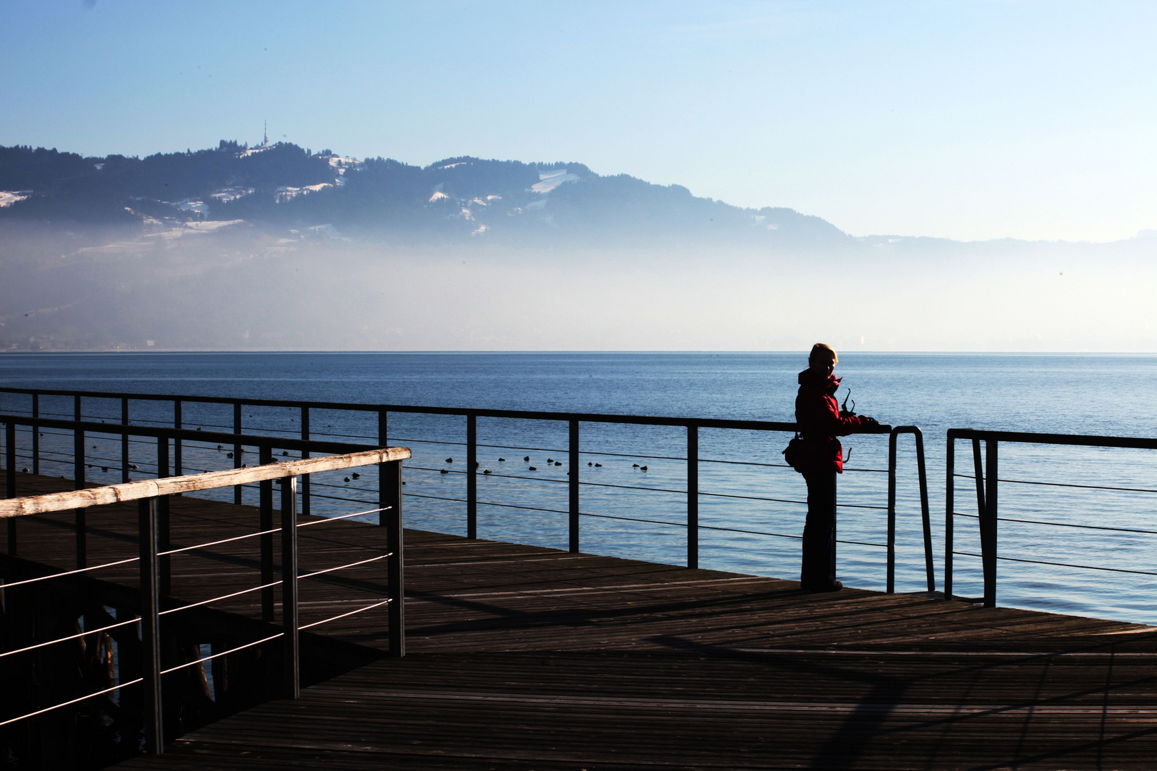 Winter am Bodensee Jan 2012