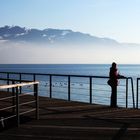 Winter am Bodensee Jan 2012