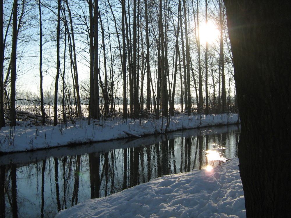 Winter am Boker Kanal