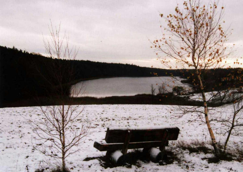 Winter am Bornsee