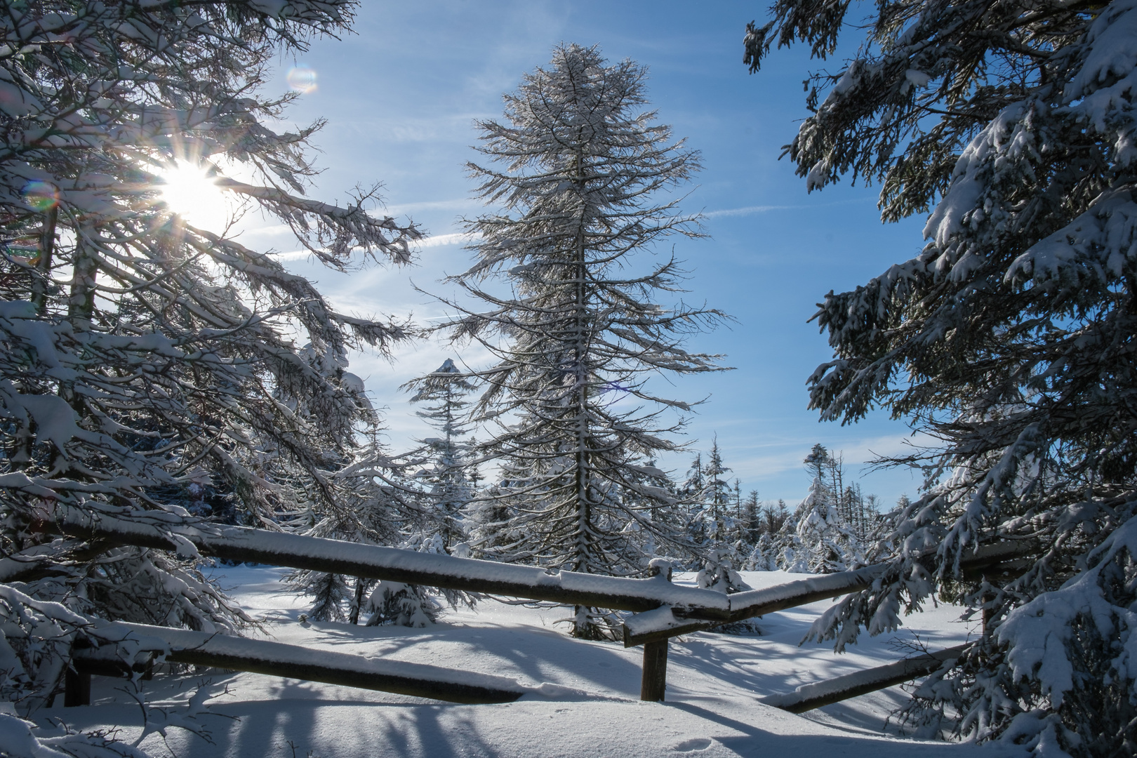 Winter am Brocken